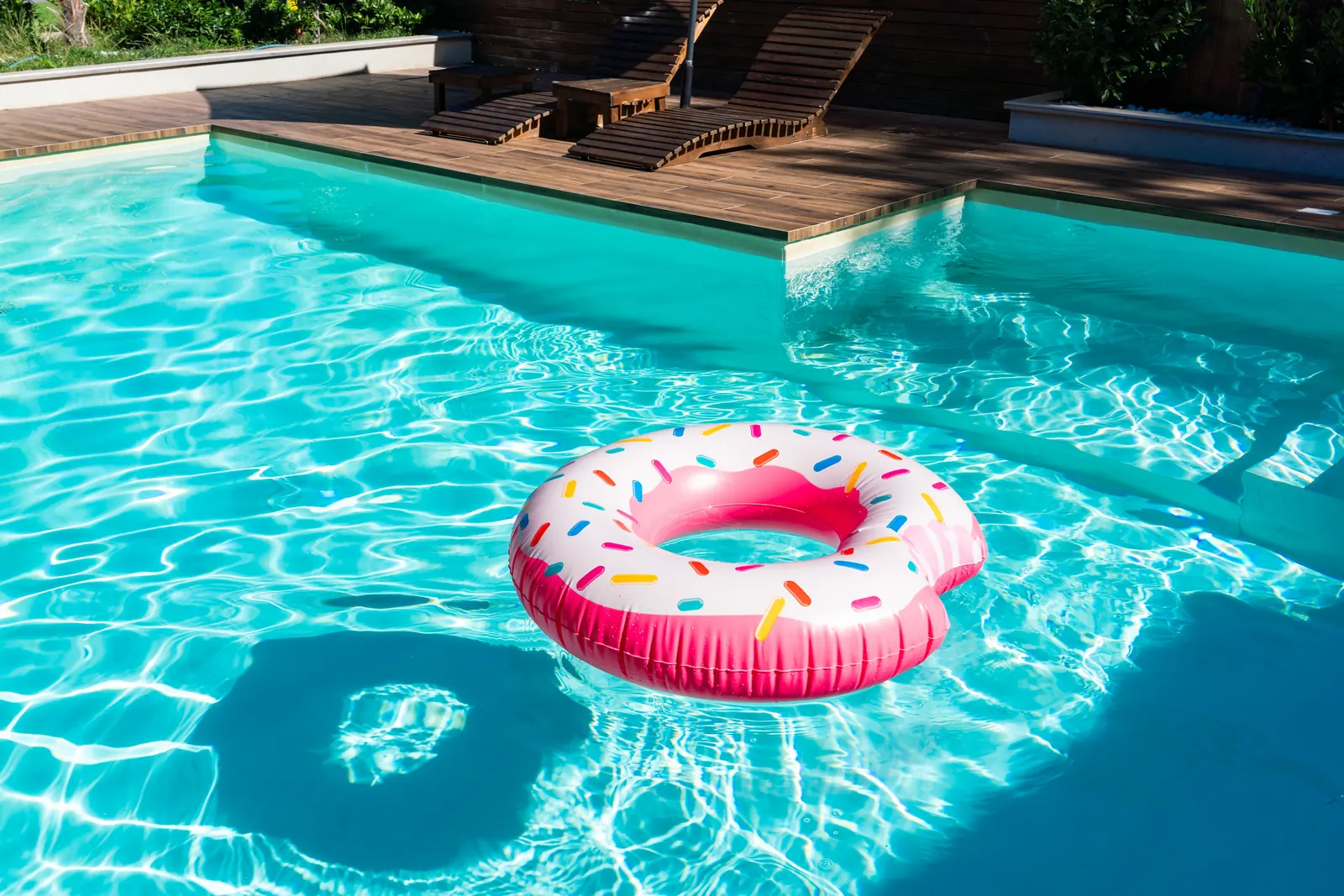 Backyard swimming pool with timber deck and sun lounges